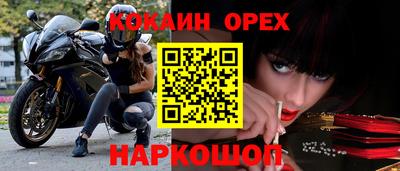 спайс Кингисепп