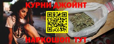 спайс Кингисепп