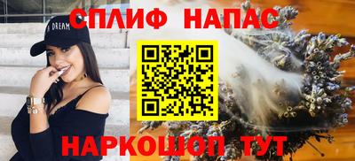 спайс Кингисепп