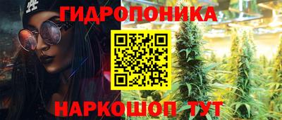 ПСИЛОЦИБИНОВЫЕ ГРИБЫ Кинель