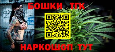 спайс Кингисепп