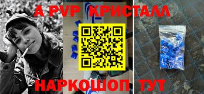 спайс Кингисепп