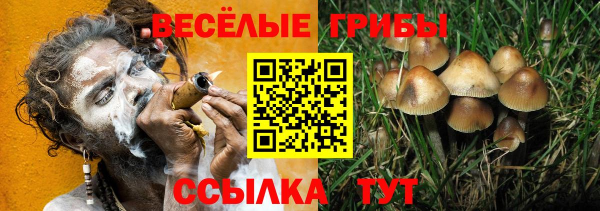 Дивногорск  Псилоцибиновые грибы MAGIC MUSHROOMS  Вход с VPN  Галлюциногенные грибы прущие грибы 