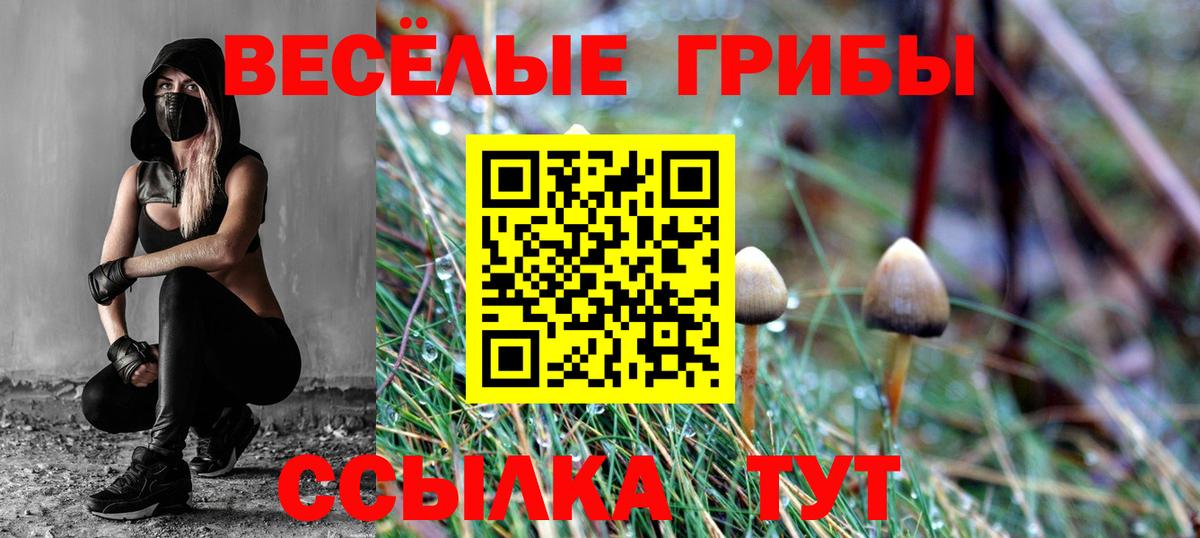 Псилоцибиновые грибы прущие грибы Дивногорск