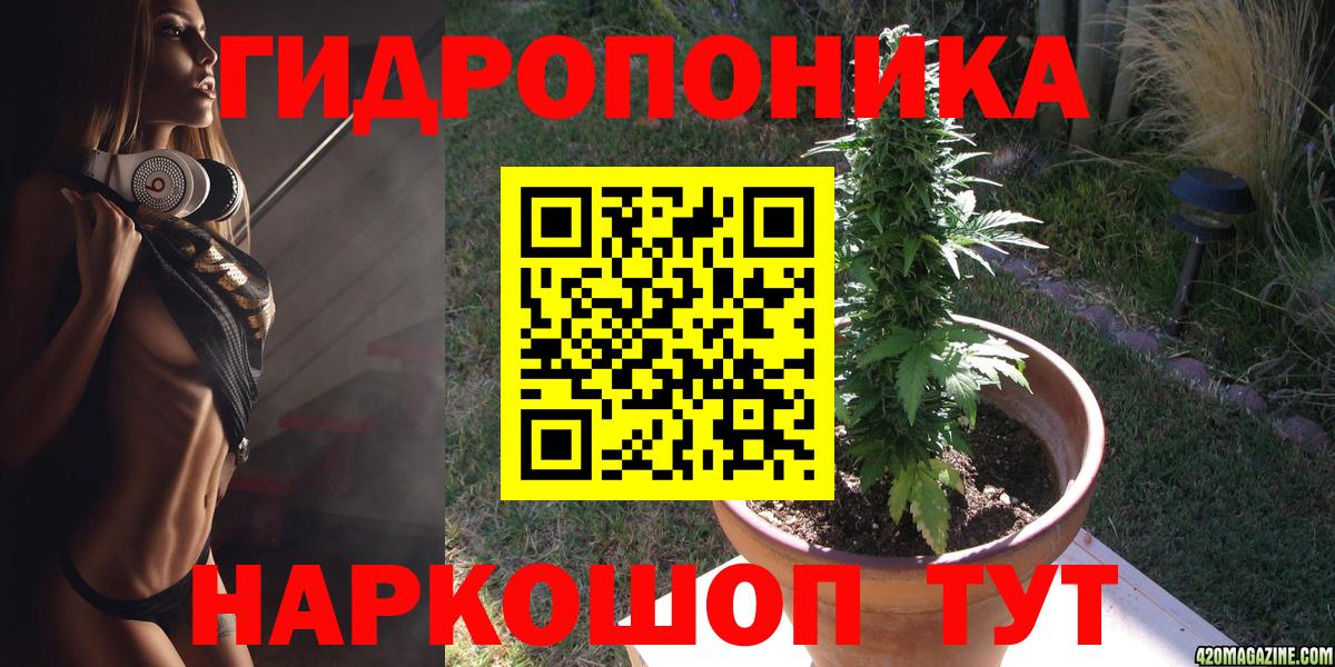 Канабис семена  Каннабис семена  Вход с VPN  Бошки Шишки Amnesia  Дивногорск 